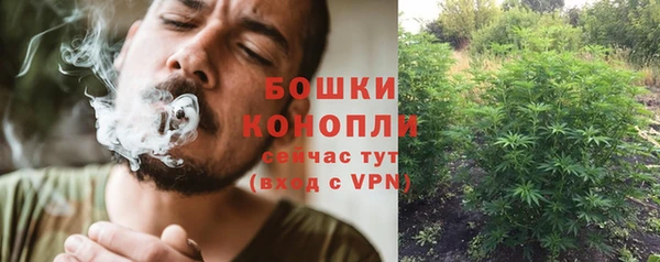 ешки Верхний Тагил