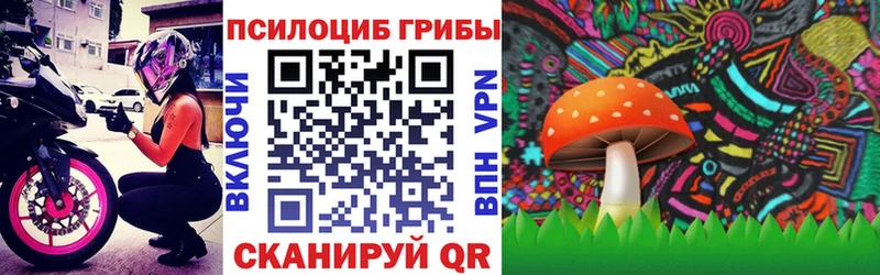 блэк спрут ТОР  Зерноград  Галлюциногенные грибы прущие грибы 