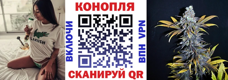 как найти omg рабочий сайт Бошки Шишки OG Kush Зерноград